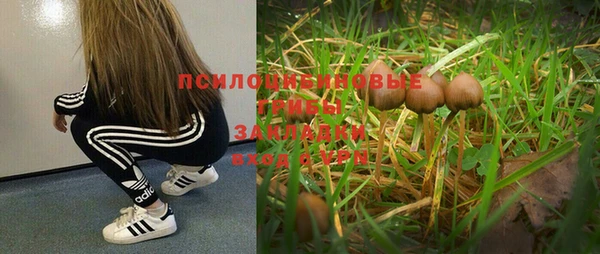 марки nbome Беломорск
