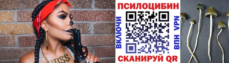 Галлюциногенные грибы Magic Shrooms Афипский